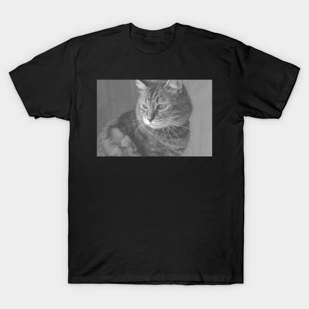 Beautiful Cat T-Shirt by PurpleKittyCat